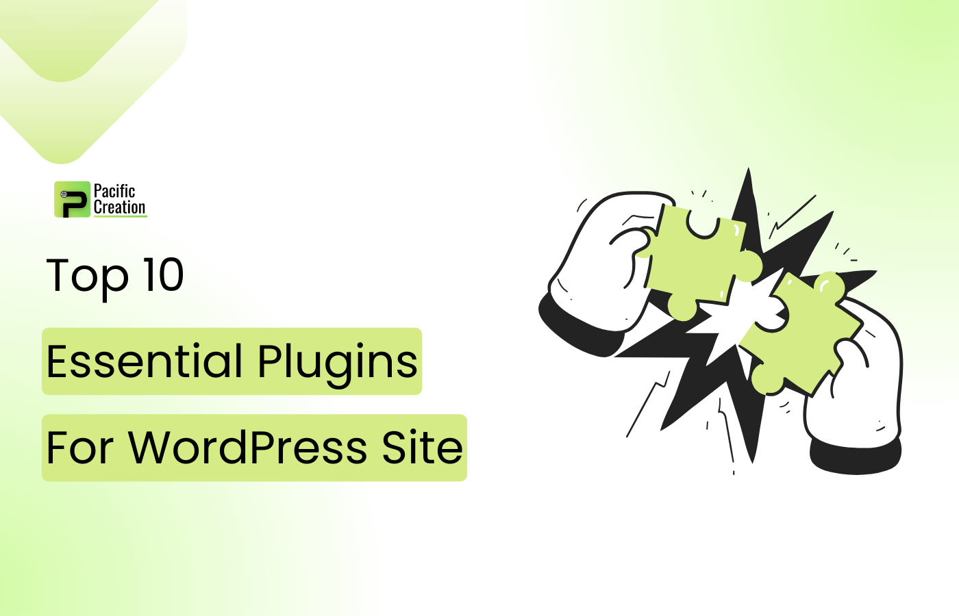 Read more about the article Top 10 Essential Plugins For WordPress Site
